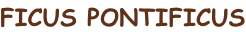 shapeimage_2_link_0